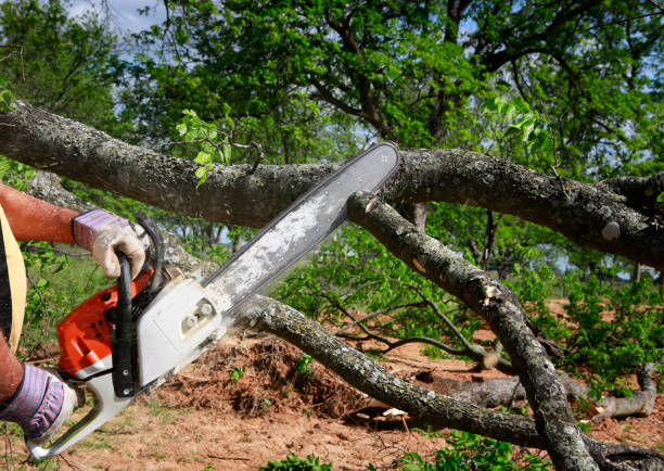 Soil Testing and Treatment